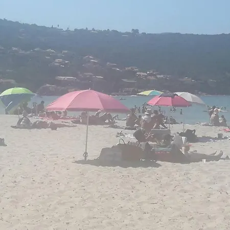 Du Rupione Pietrosella