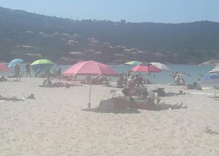 Du Rupione Pietrosella